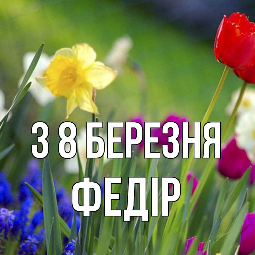 Открытка на каждый день з підписом, Федір З 8 БЕРЕЗНЯ международный женский день 3 Прикольна листівка з побажанням онлайн скачати безкоштовно 