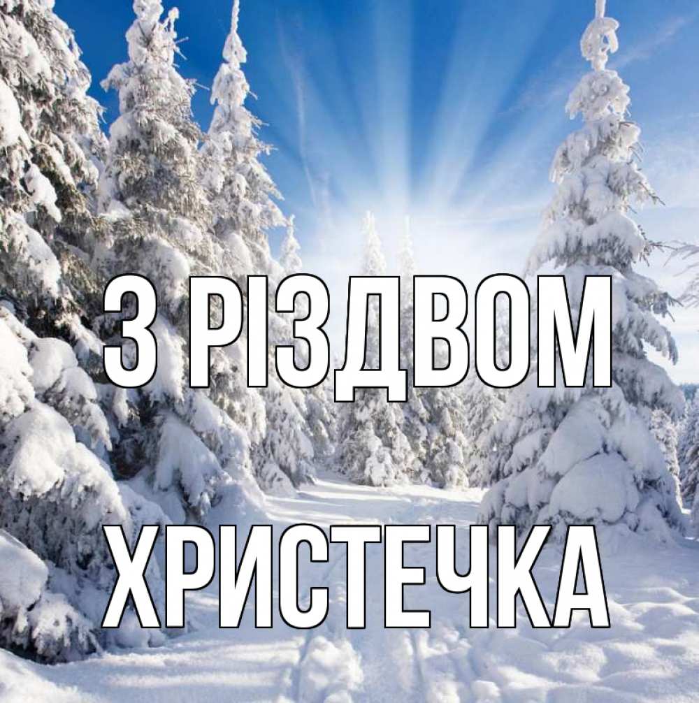 Открытка на каждый день з підписом, Христечка З Різдвом зима, лес Прикольна листівка з побажанням онлайн скачати безкоштовно 