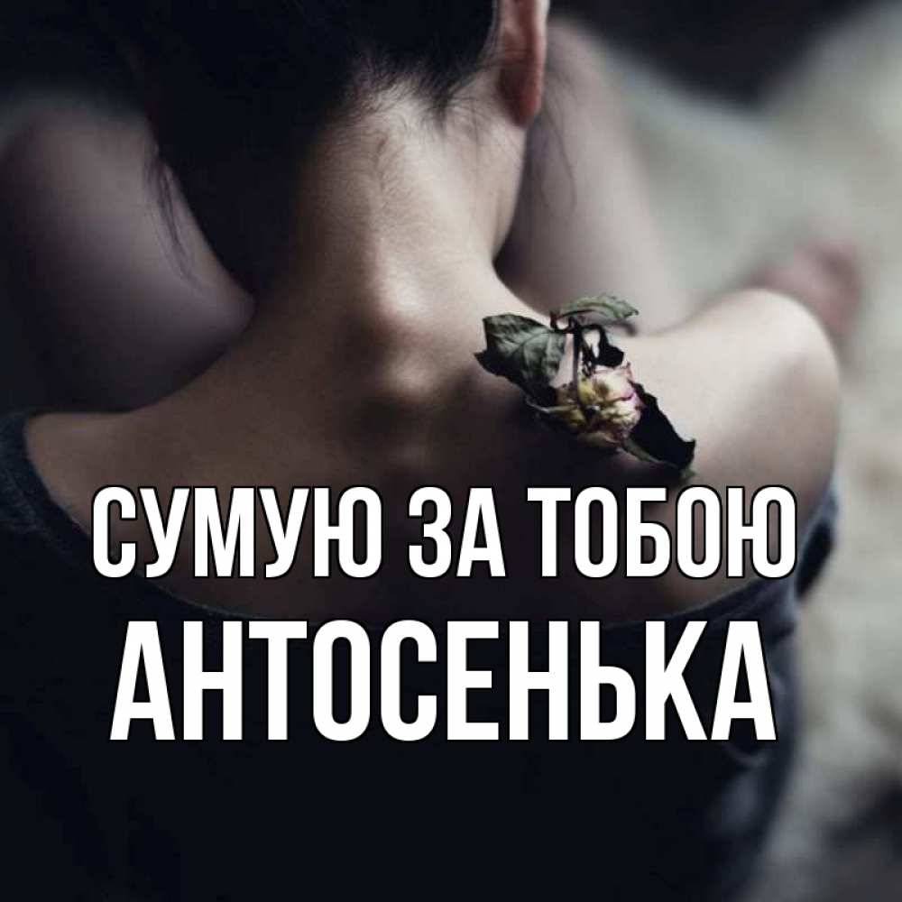 Открытка на каждый день з підписом, Антосенька Сумую за тобою засох цветок Прикольна листівка з побажанням онлайн скачати безкоштовно 