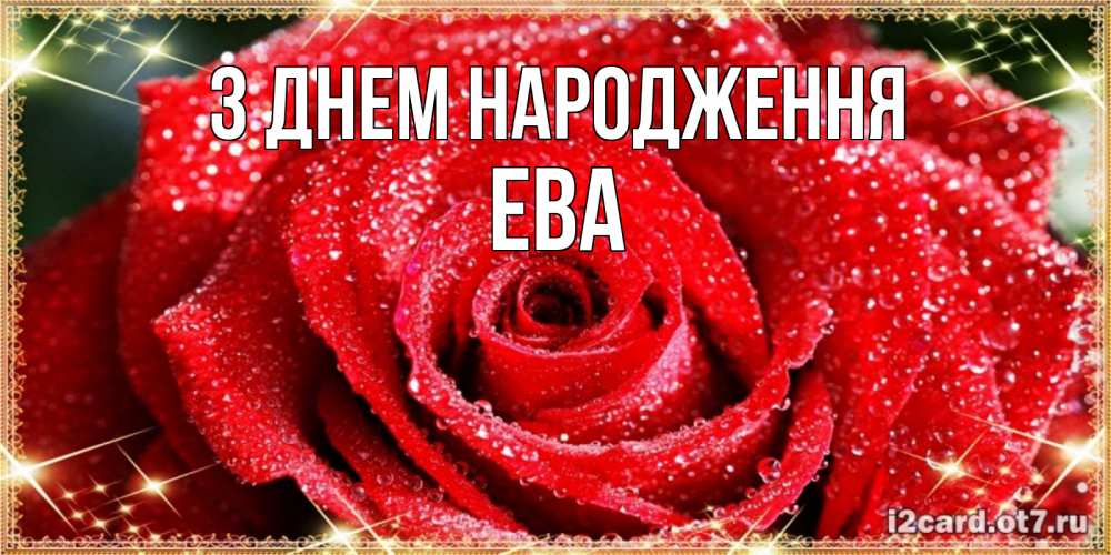 Открытка на каждый день з підписом, Ева З Днем народження роса и роза. открытка с красивой розой Прикольна листівка з побажанням онлайн скачати безкоштовно 