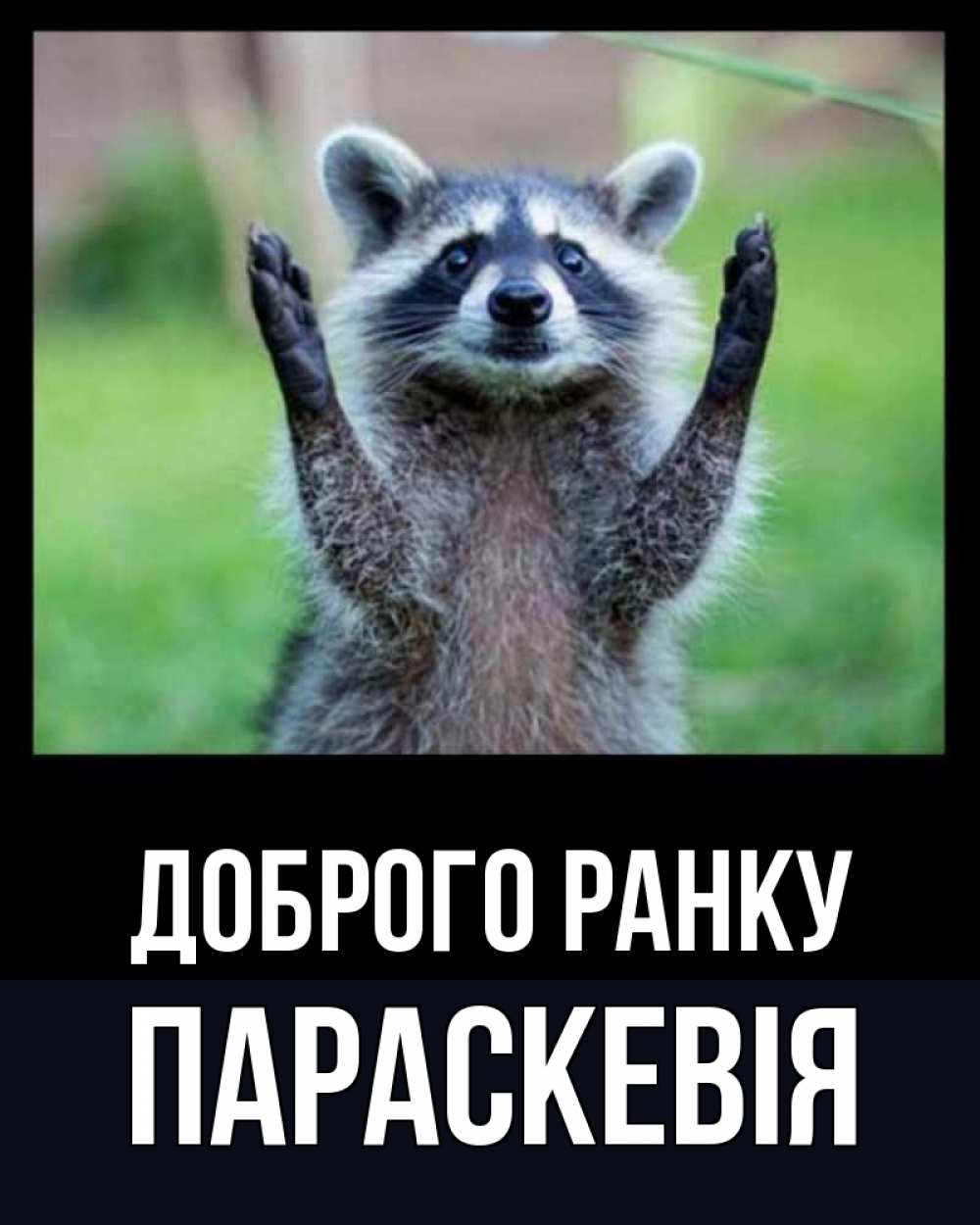 Открытка на каждый день з підписом, Параскевія Доброго ранку хорошее настроение утречком Прикольна листівка з побажанням онлайн скачати безкоштовно 