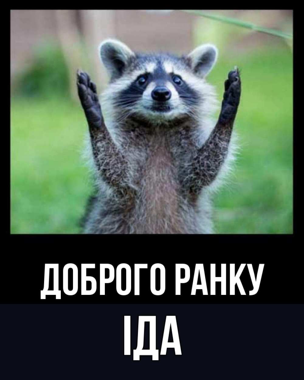 Открытка на каждый день з підписом, Іда Доброго ранку хорошее настроение утречком Прикольна листівка з побажанням онлайн скачати безкоштовно 