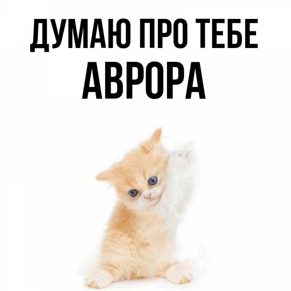 Открытка на каждый день з підписом, Аврора Думаю про тебе зверушки и милота Прикольна листівка з побажанням онлайн скачати безкоштовно 