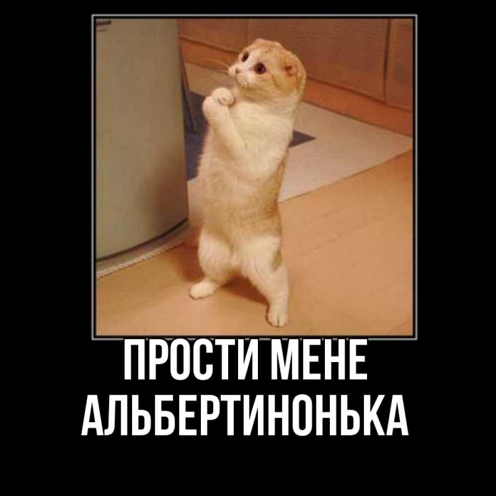 Открытка на каждый день з підписом, Альбертинонька Прости мене открытка с милым несчастным котиком просящим прощения Прикольна листівка з побажанням онлайн скачати безкоштовно 