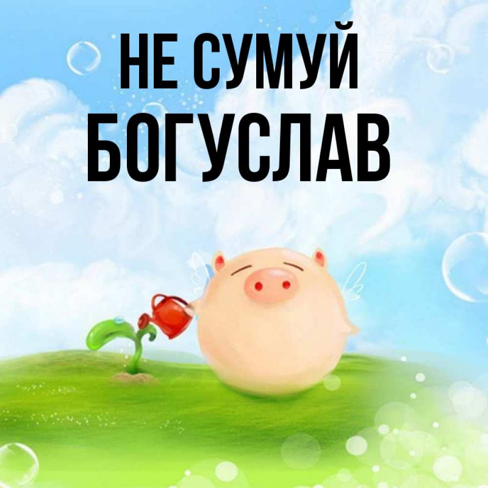 Открытка на каждый день з підписом, Богуслав Не сумуй поливает цветок порося Прикольна листівка з побажанням онлайн скачати безкоштовно 
