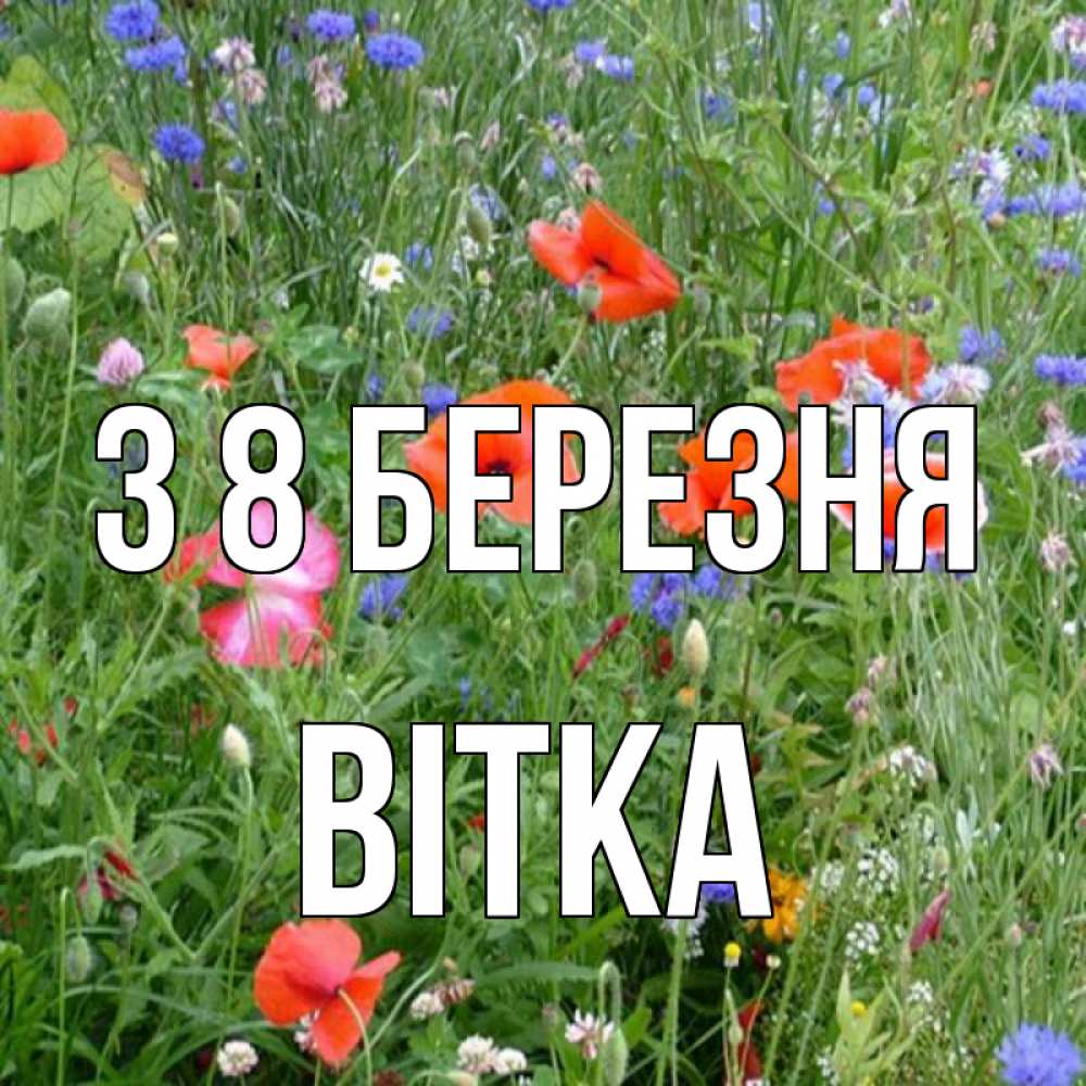 Открытка на каждый день з підписом, Вітка З 8 БЕРЕЗНЯ международный женский день 4 Прикольна листівка з побажанням онлайн скачати безкоштовно 