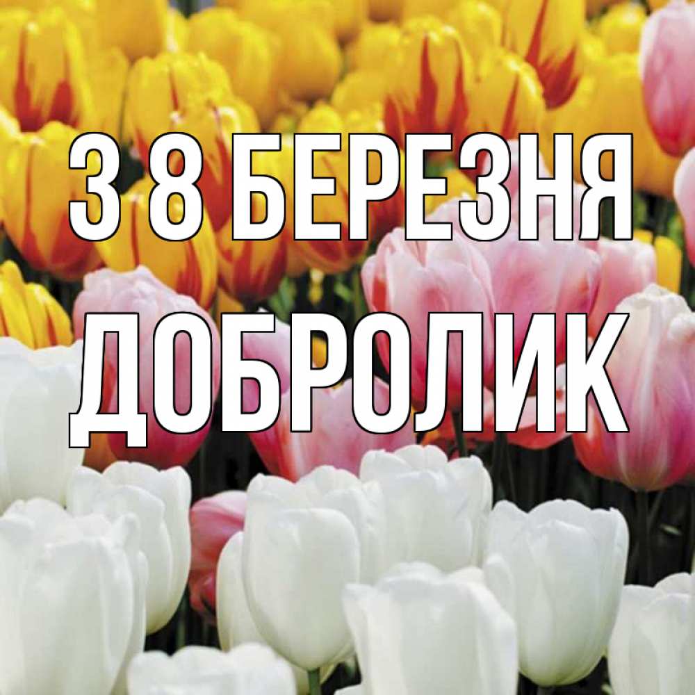 Открытка на каждый день з підписом, Добролик З 8 БЕРЕЗНЯ разноцветные цветы Прикольна листівка з побажанням онлайн скачати безкоштовно 