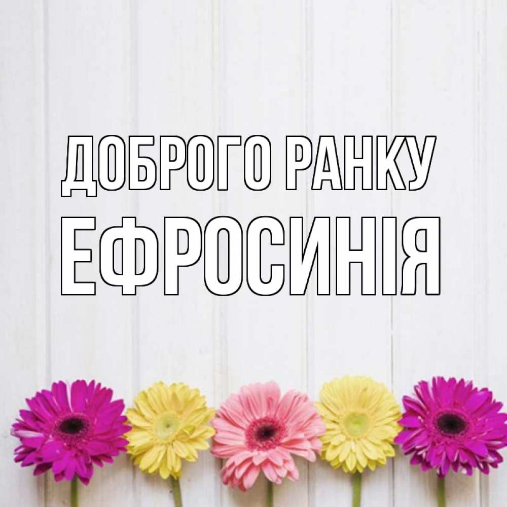 Открытка на каждый день з підписом, Ефросинія Доброго ранку красный желтый и розовый цветок Прикольна листівка з побажанням онлайн скачати безкоштовно 