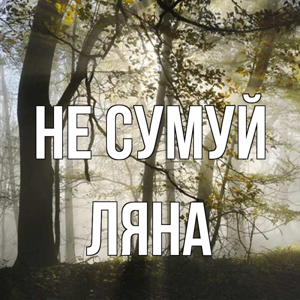Открытка на каждый день з підписом, Ляна Не сумуй лес и свет Прикольна листівка з побажанням онлайн скачати безкоштовно 
