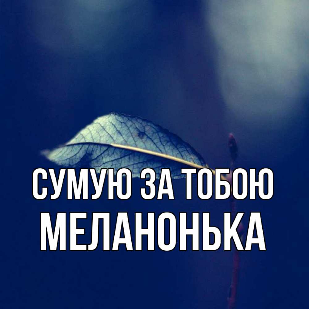 Открытка на каждый день з підписом, Меланонька Сумую за тобою одна ветка 1 Прикольна листівка з побажанням онлайн скачати безкоштовно 