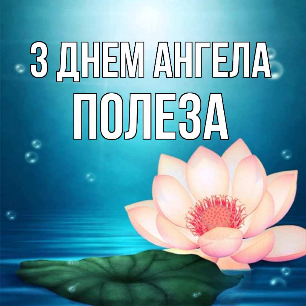 Открытка на каждый день з підписом, Полеза З Днем ангела кувшинка Прикольна листівка з побажанням онлайн скачати безкоштовно 