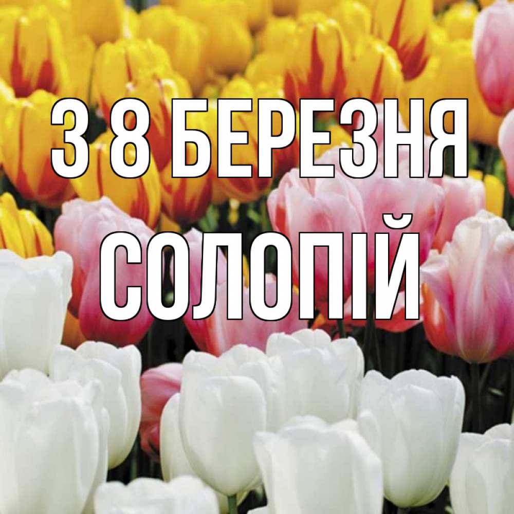 Открытка на каждый день з підписом, Солопій З 8 БЕРЕЗНЯ разноцветные цветы Прикольна листівка з побажанням онлайн скачати безкоштовно 
