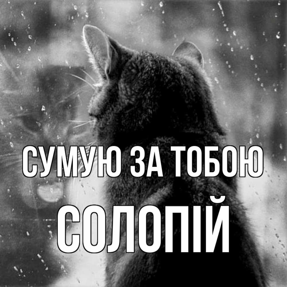 Открытка на каждый день з підписом, Солопій Сумую за тобою скорее ко мне приходи 1 Прикольна листівка з побажанням онлайн скачати безкоштовно 