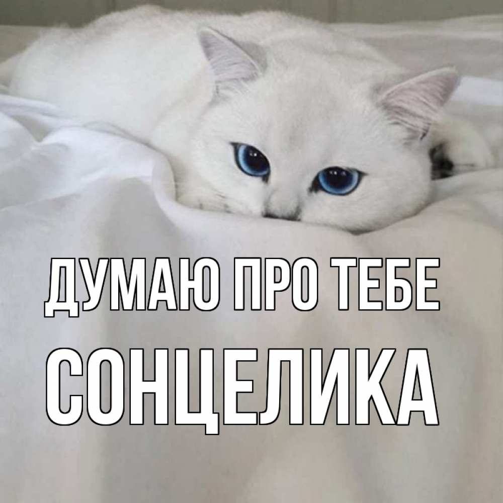 Открытка на каждый день з підписом, Сонцелика Думаю про тебе я очень по тебе скучаю и тоскую Прикольна листівка з побажанням онлайн скачати безкоштовно 