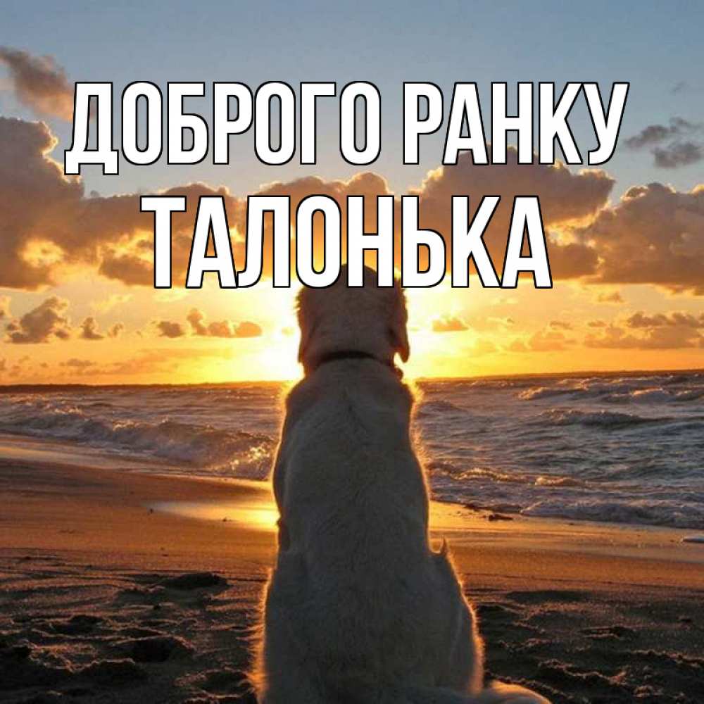 Открытка на каждый день з підписом, Талонька Доброго ранку восход солнца Прикольна листівка з побажанням онлайн скачати безкоштовно 