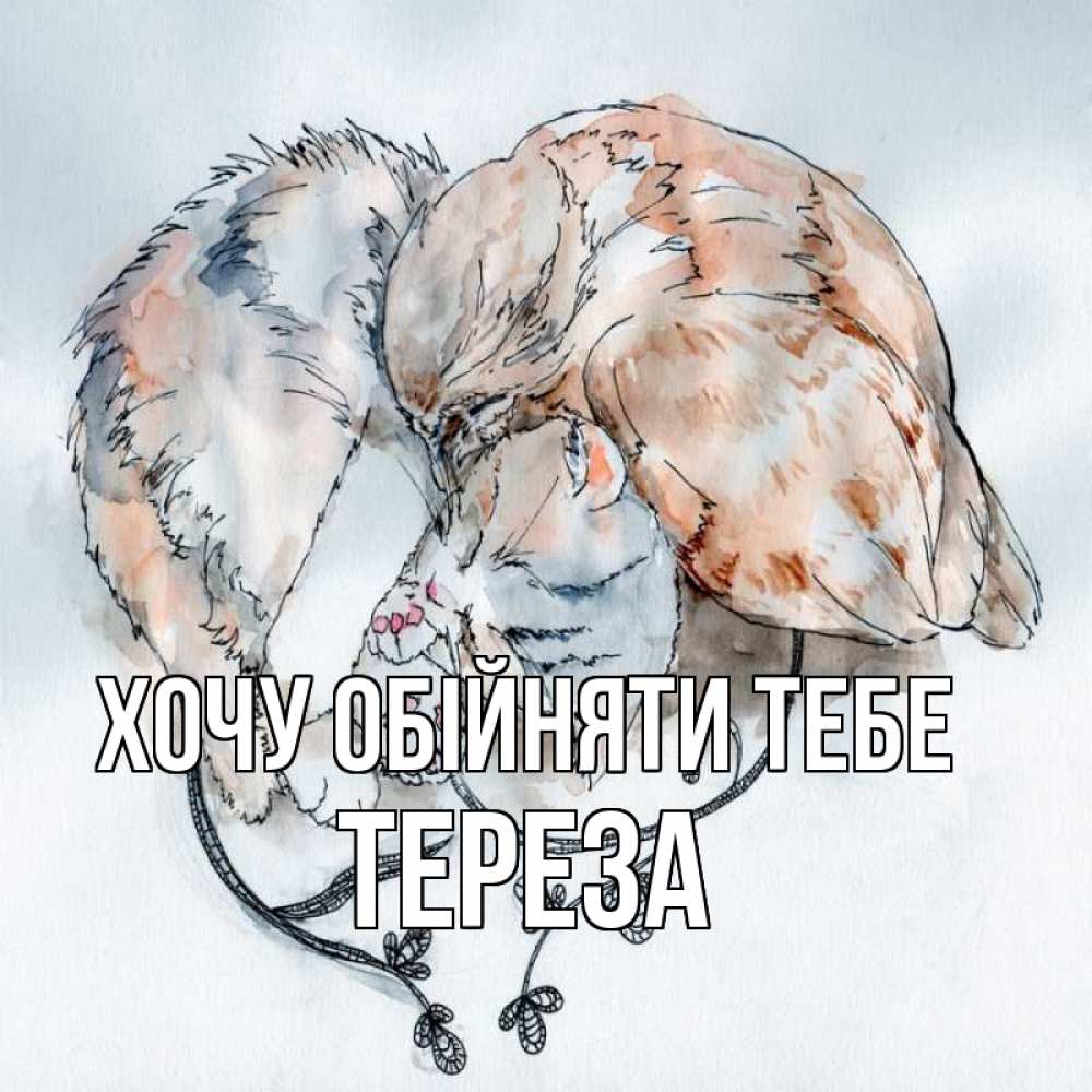 Открытка на каждый день з підписом, Тереза Хочу обійняти тебе можно быть вместе даже когда очень разные Прикольна листівка з побажанням онлайн скачати безкоштовно 