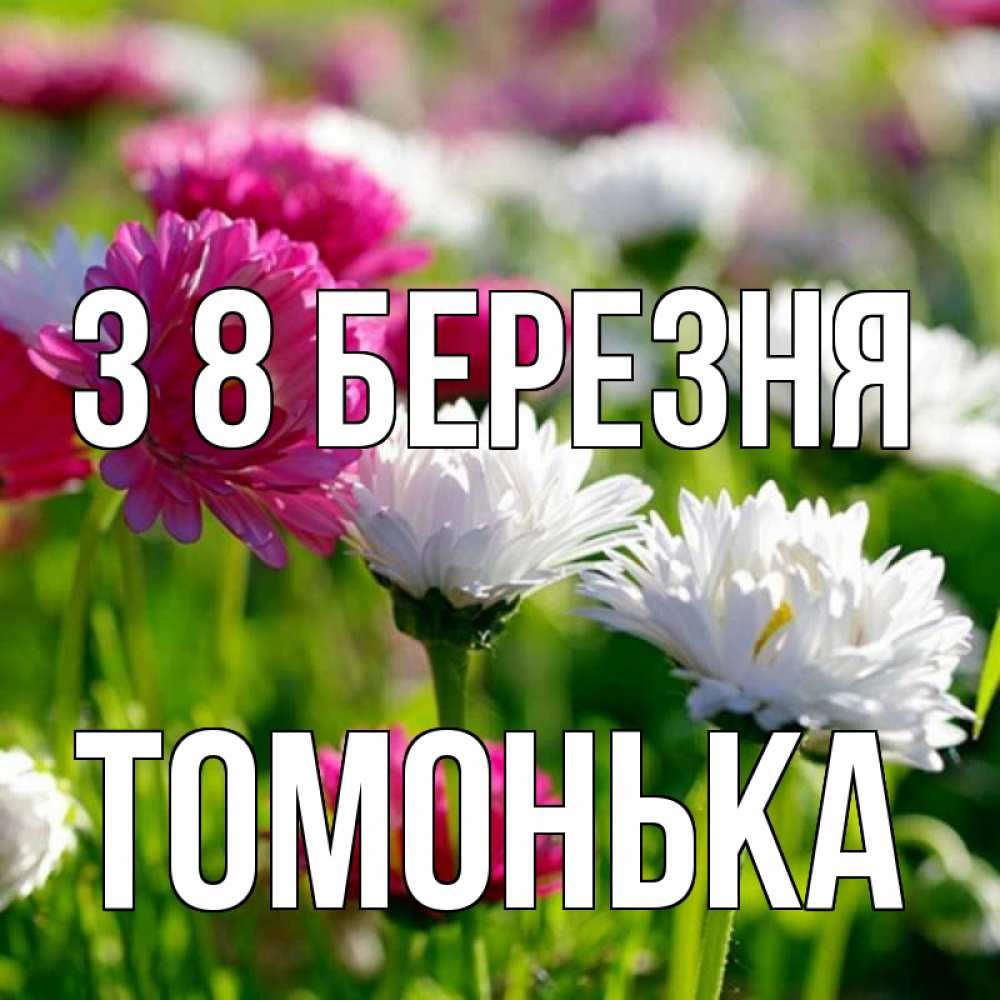 Открытка на каждый день з підписом, Томонька З 8 БЕРЕЗНЯ международный женский день 1 Прикольна листівка з побажанням онлайн скачати безкоштовно 