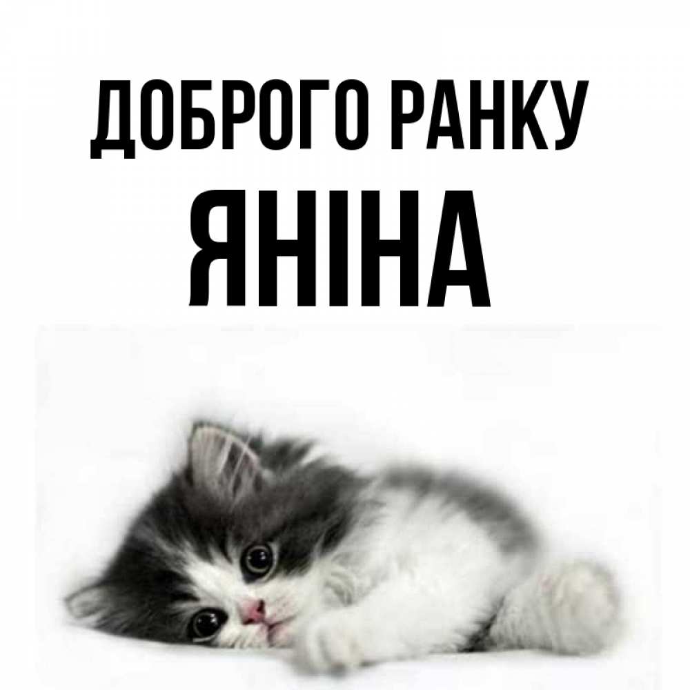 Открытка на каждый день з підписом, Яніна Доброго ранку кот лапки Прикольна листівка з побажанням онлайн скачати безкоштовно 