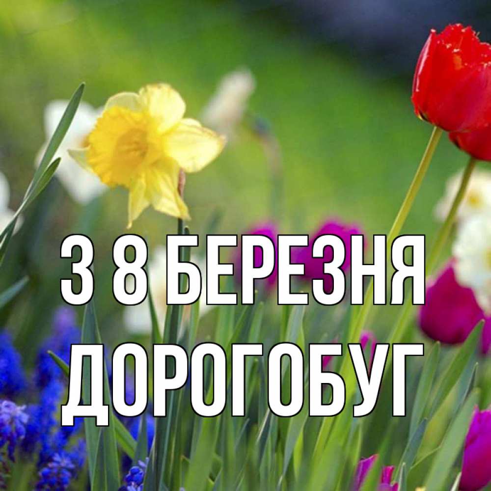 Открытка на каждый день з підписом, Дорогобуг З 8 БЕРЕЗНЯ международный женский день 3 Прикольна листівка з побажанням онлайн скачати безкоштовно 