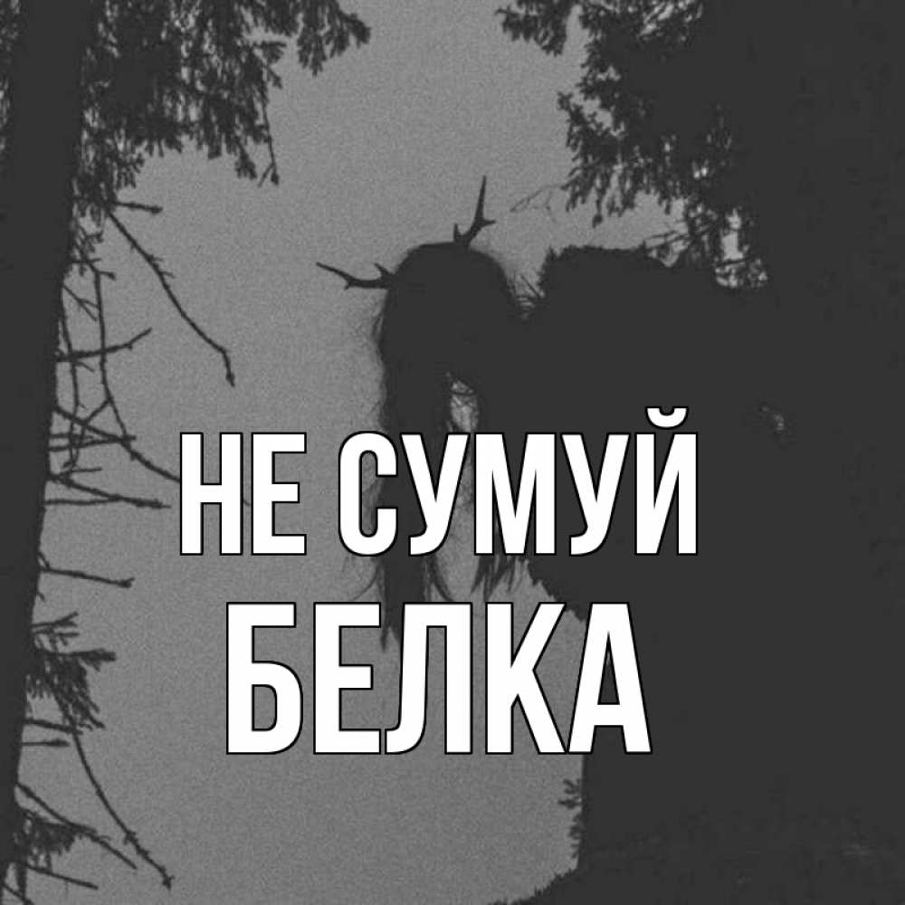 Открытка на каждый день з підписом, Белка Не сумуй чудище лесное Прикольна листівка з побажанням онлайн скачати безкоштовно 