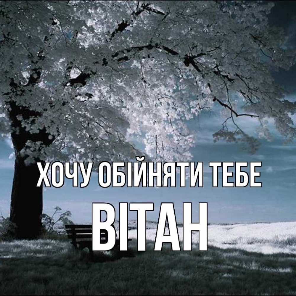 Открытка на каждый день з підписом, Вітан Хочу обійняти тебе дерево Прикольна листівка з побажанням онлайн скачати безкоштовно 