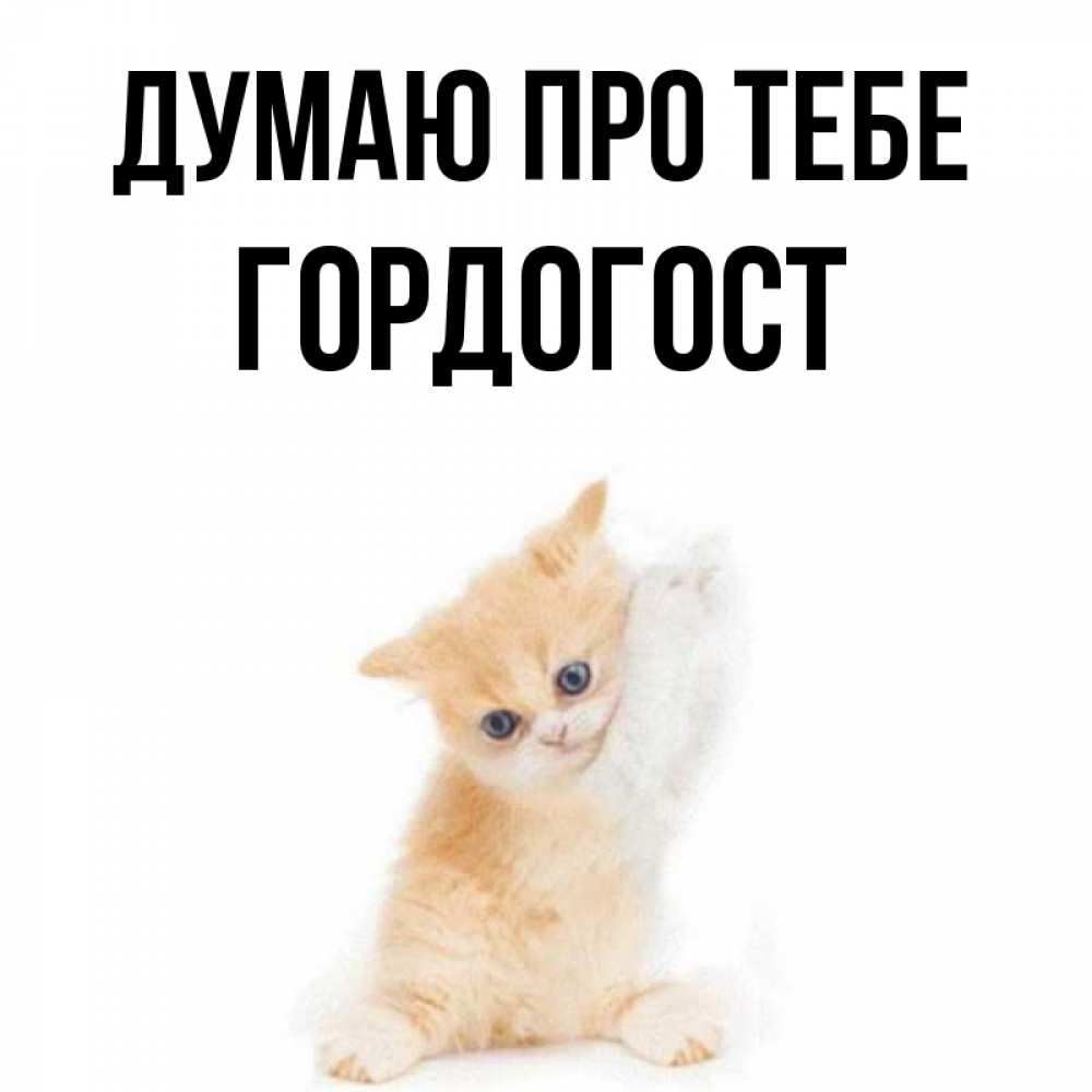Открытка на каждый день з підписом, Гордогост Думаю про тебе зверушки и милота Прикольна листівка з побажанням онлайн скачати безкоштовно 