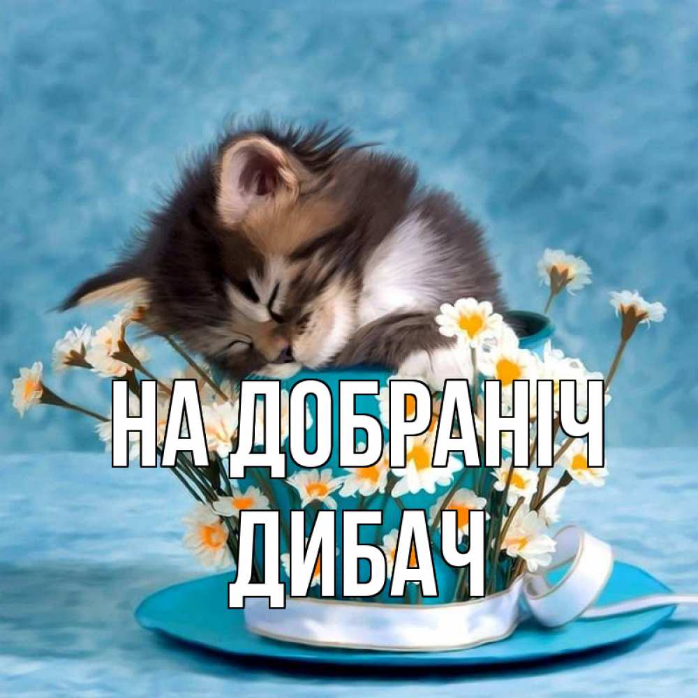 Открытка на каждый день з підписом, Дибач На добраніч котенок спит в кружке с блюдцем Прикольна листівка з побажанням онлайн скачати безкоштовно 