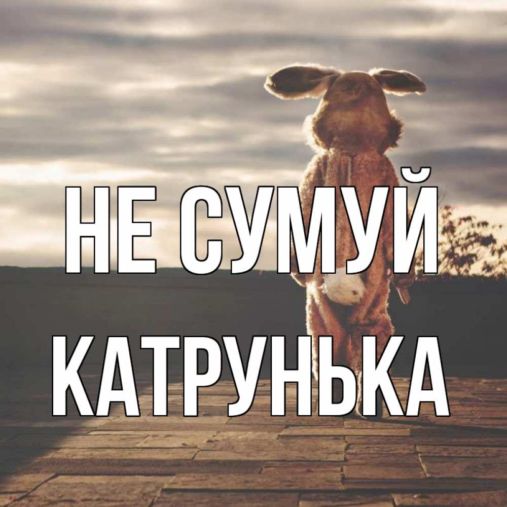 Открытка на каждый день з підписом, Катрунька Не сумуй со спины Прикольна листівка з побажанням онлайн скачати безкоштовно 