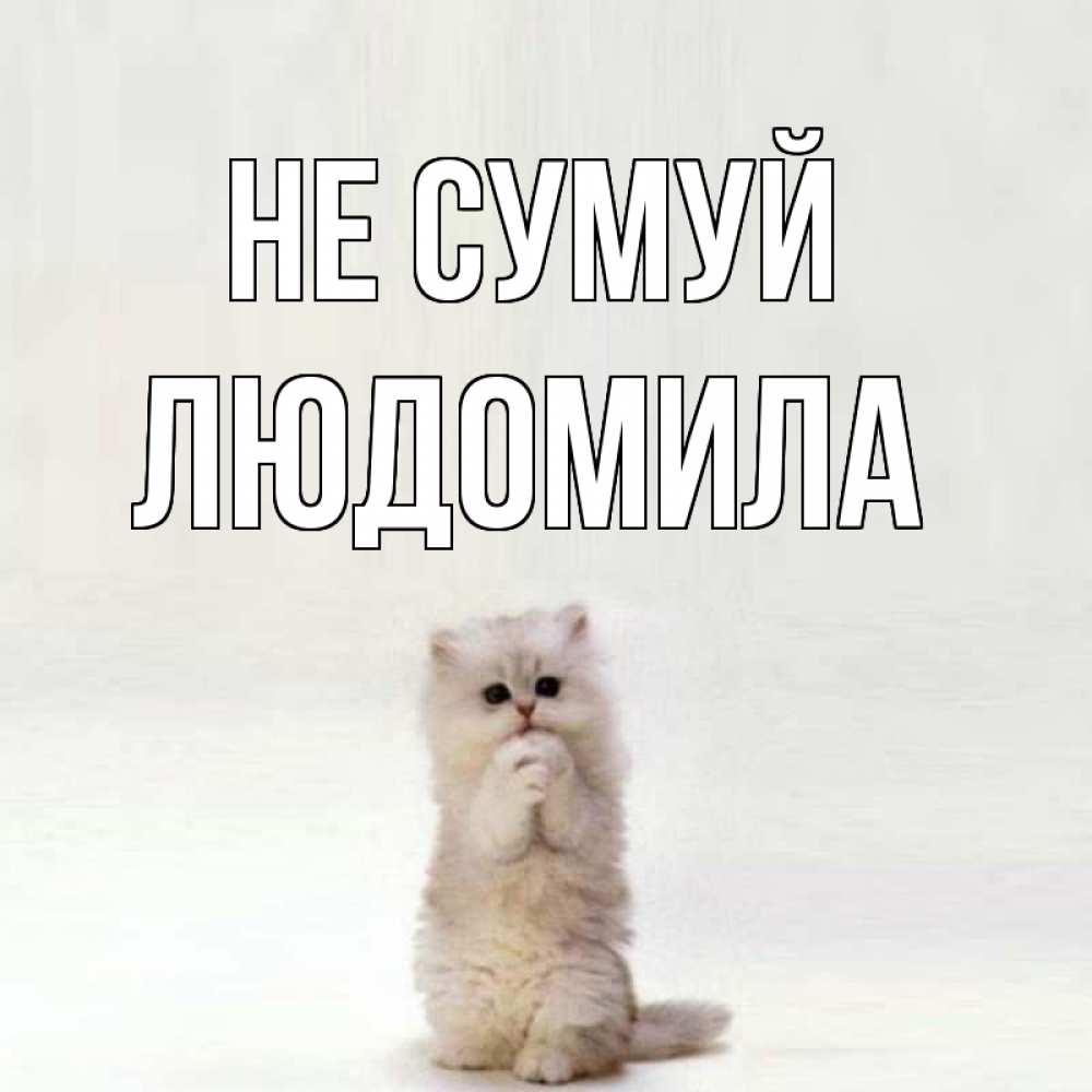 Открытка на каждый день з підписом, Людомила Не сумуй грустный кот Прикольна листівка з побажанням онлайн скачати безкоштовно 