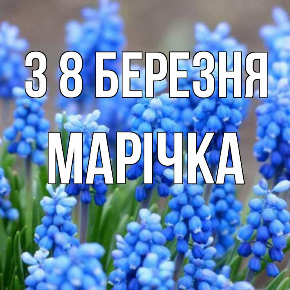 Открытка на каждый день з підписом, Марічка З 8 БЕРЕЗНЯ Поздравительная открытка для женщин с цветами на праздничную дату Прикольна листівка з побажанням онлайн скачати безкоштовно 