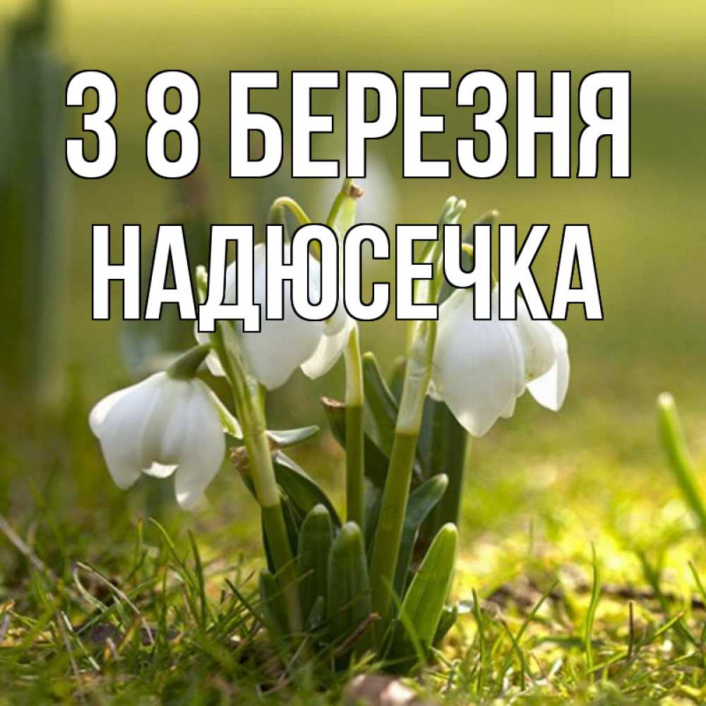 Открытка на каждый день з підписом, Надюсечка З 8 БЕРЕЗНЯ ранние цветы 2 Прикольна листівка з побажанням онлайн скачати безкоштовно 