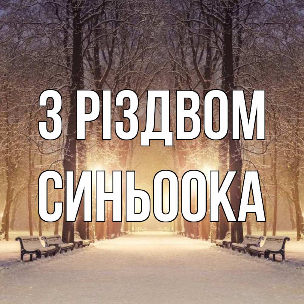 Открытка на каждый день з підписом, Синьоока З Різдвом зима, парк, фонарь, лес Прикольна листівка з побажанням онлайн скачати безкоштовно 
