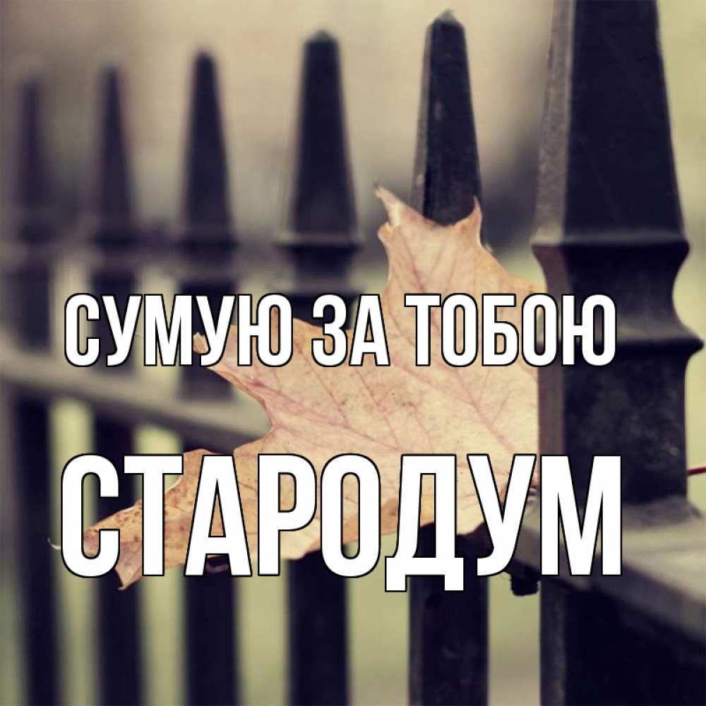 Открытка на каждый день з підписом, Стародум Сумую за тобою очень скучно Прикольна листівка з побажанням онлайн скачати безкоштовно 