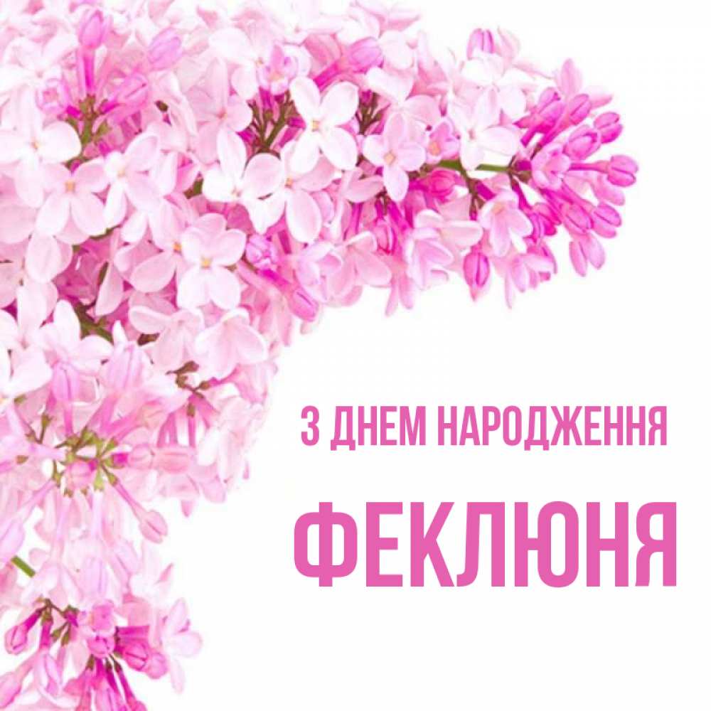 Открытка на каждый день з підписом, Феклюня З Днем народження Сирень на белом фоне Прикольна листівка з побажанням онлайн скачати безкоштовно 