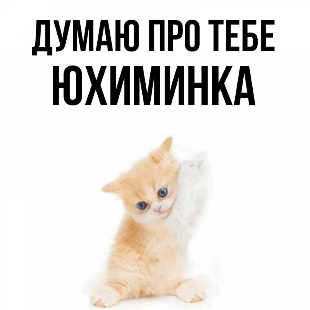 Открытка на каждый день з підписом, Юхиминка Думаю про тебе зверушки и милота Прикольна листівка з побажанням онлайн скачати безкоштовно 