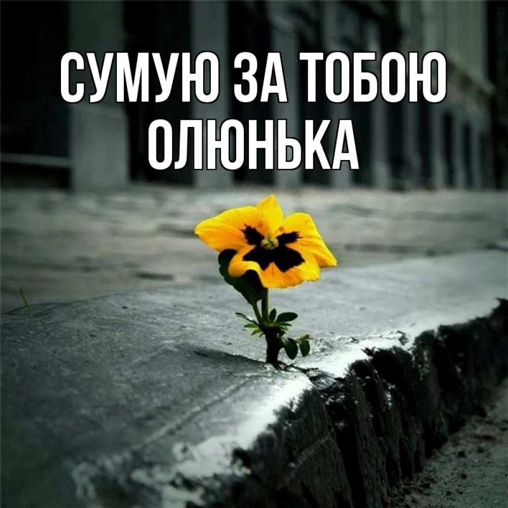 Открытка на каждый день з підписом, Олюнька Сумую за тобою надеюсь будет лучше Прикольна листівка з побажанням онлайн скачати безкоштовно 