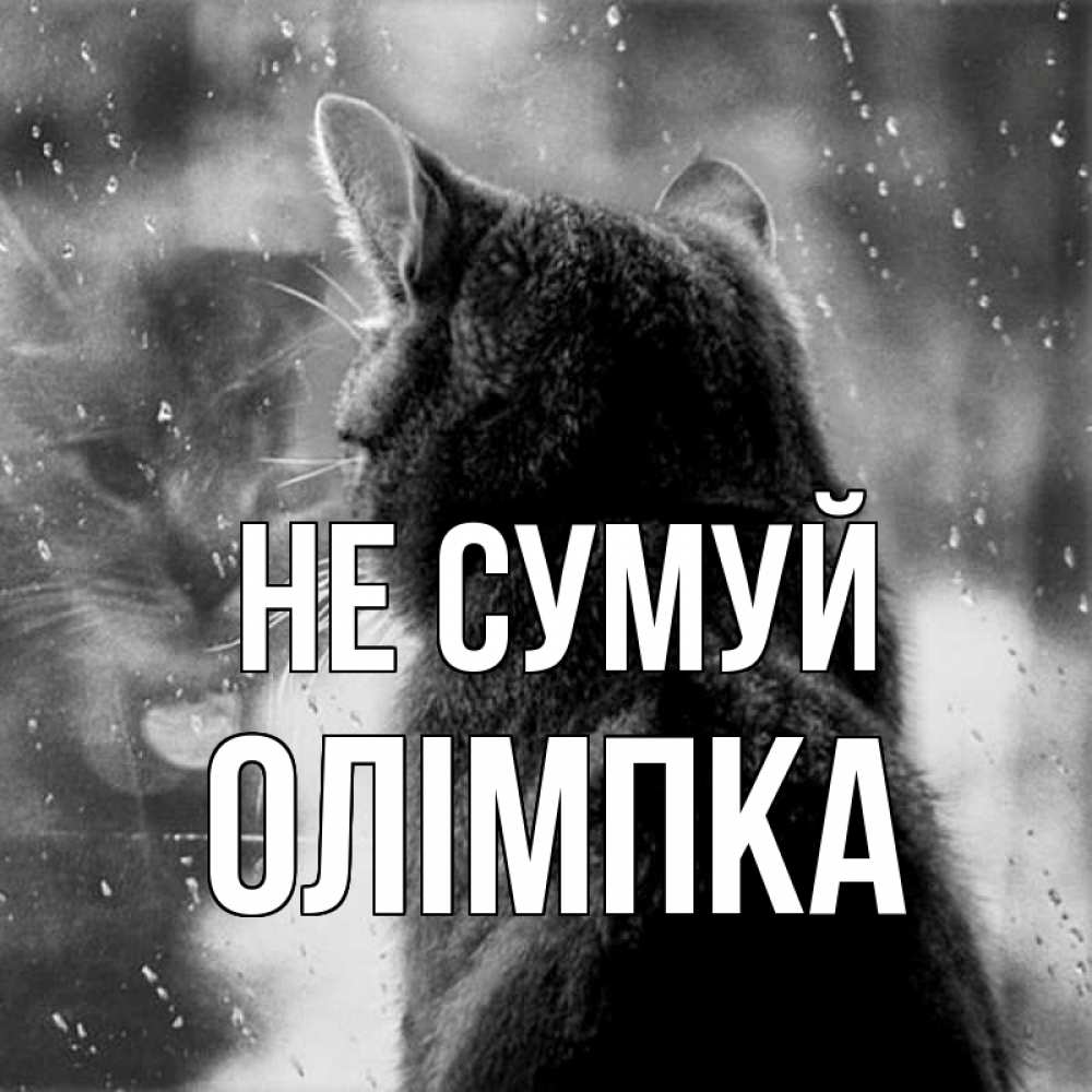 Открытка на каждый день з підписом, Олімпка Не сумуй отражение кота 1 Прикольна листівка з побажанням онлайн скачати безкоштовно 