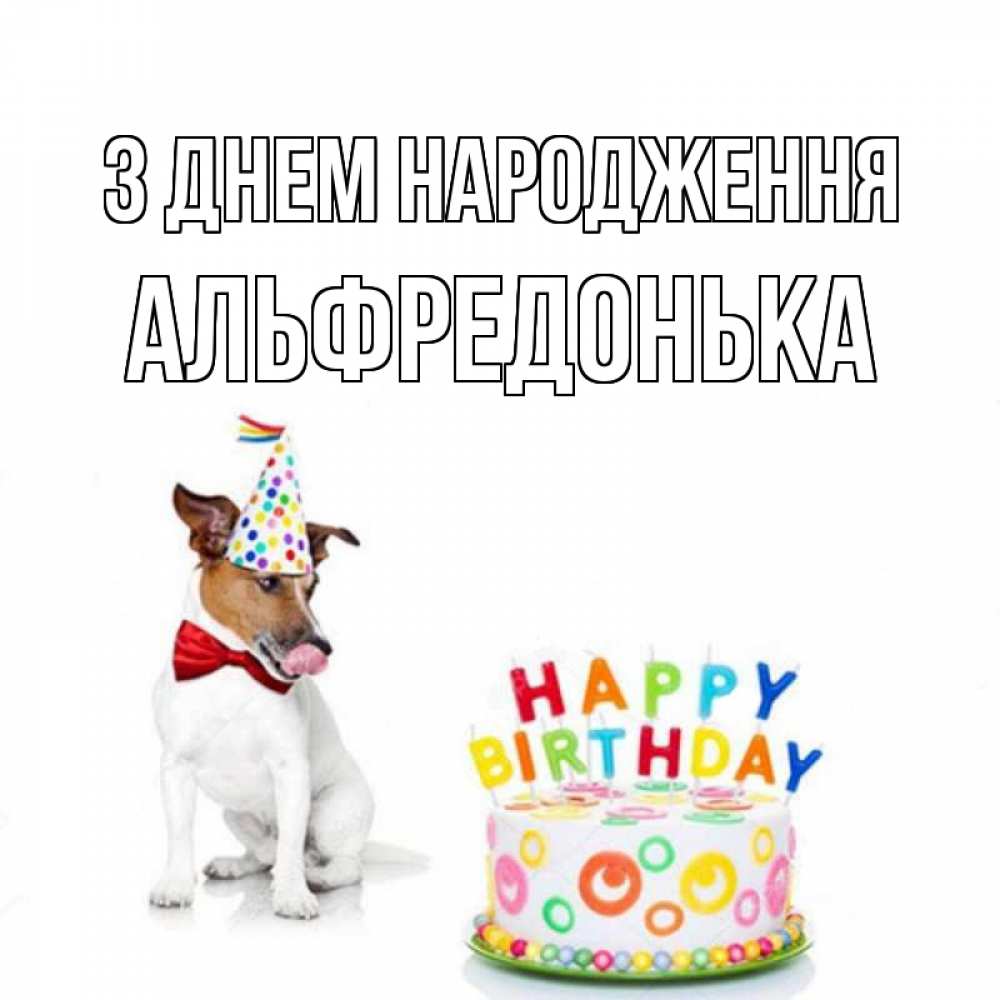 Открытка на каждый день з підписом, Альфредонька З Днем народження праздник Прикольна листівка з побажанням онлайн скачати безкоштовно 