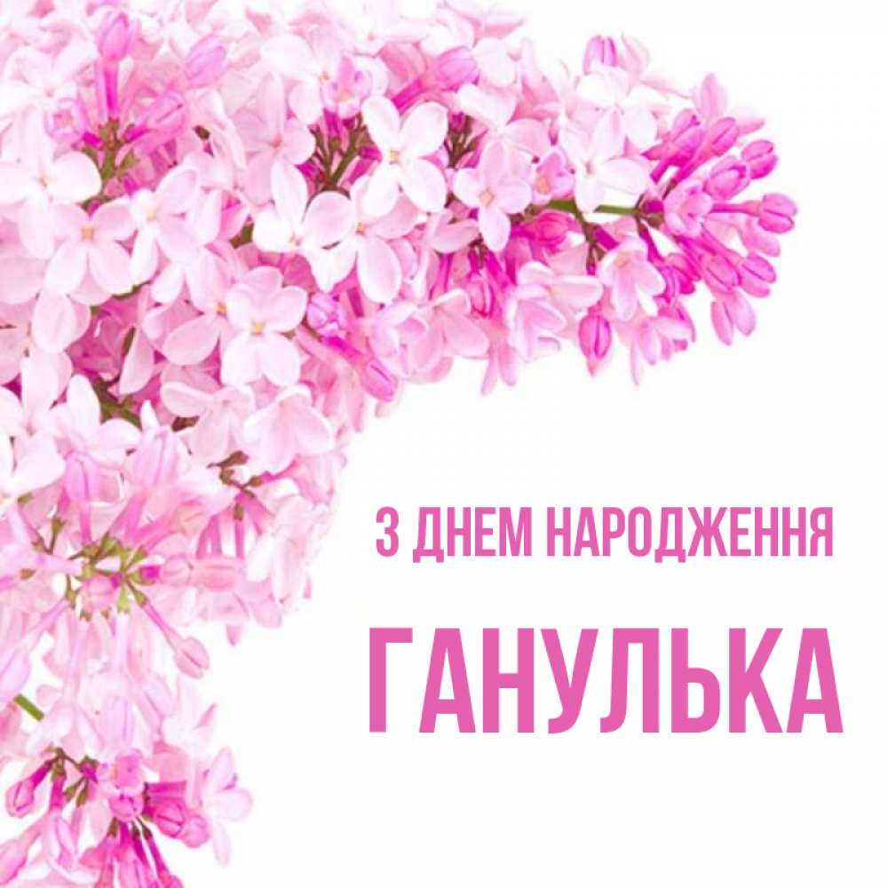 Открытка на каждый день з підписом, Ганулька З Днем народження Сирень на белом фоне Прикольна листівка з побажанням онлайн скачати безкоштовно 