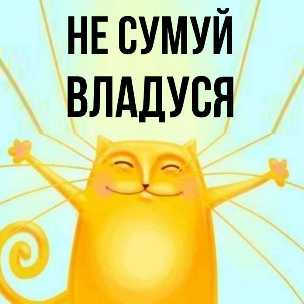 Открытка на каждый день з підписом, Владуся Не сумуй обнимашки усатые Прикольна листівка з побажанням онлайн скачати безкоштовно 