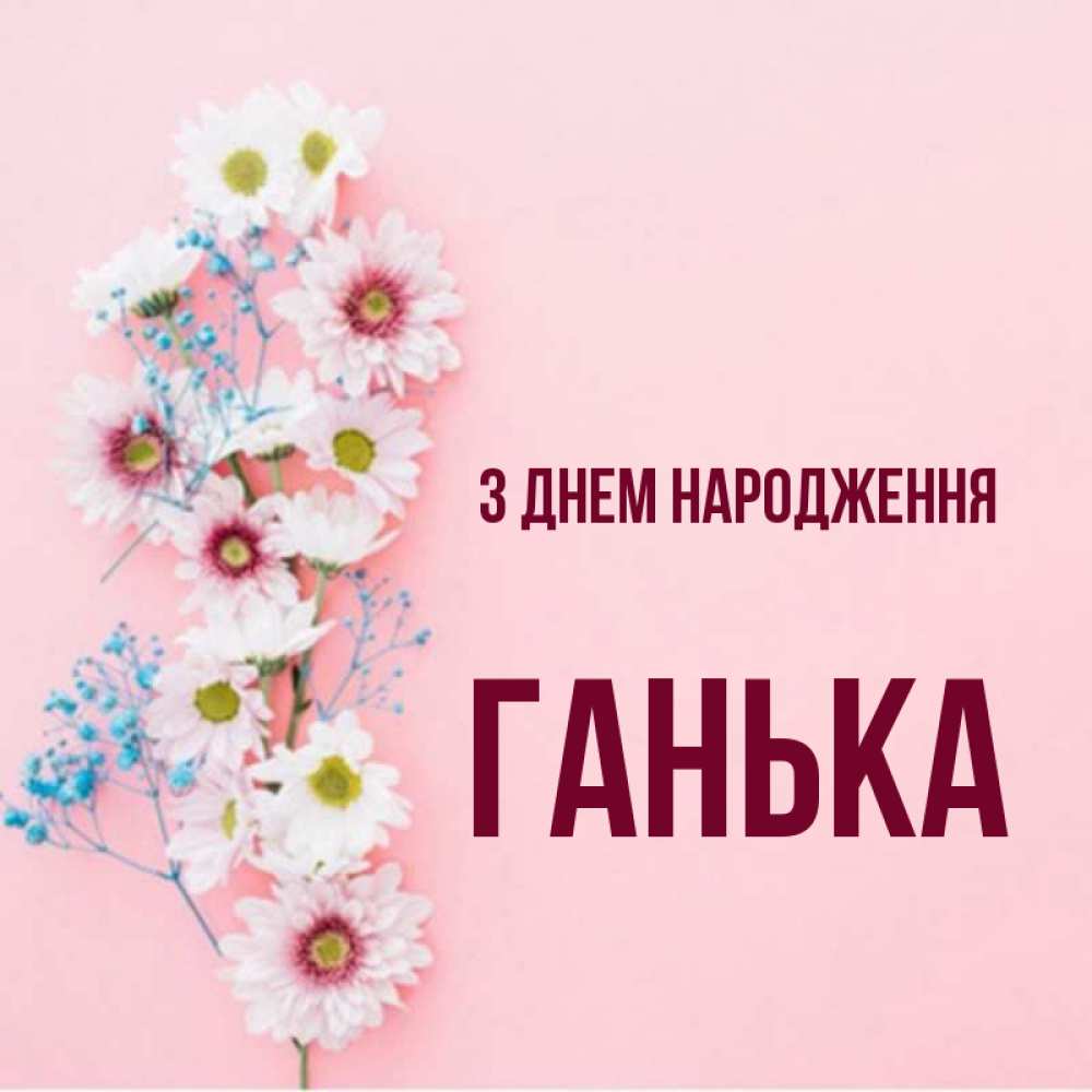 Открытка на каждый день з підписом, Ганька З Днем народження Родная моя с днем рождения тебя картинка с цветами белыми и голубыми Прикольна листівка з побажанням онлайн скачати безкоштовно 