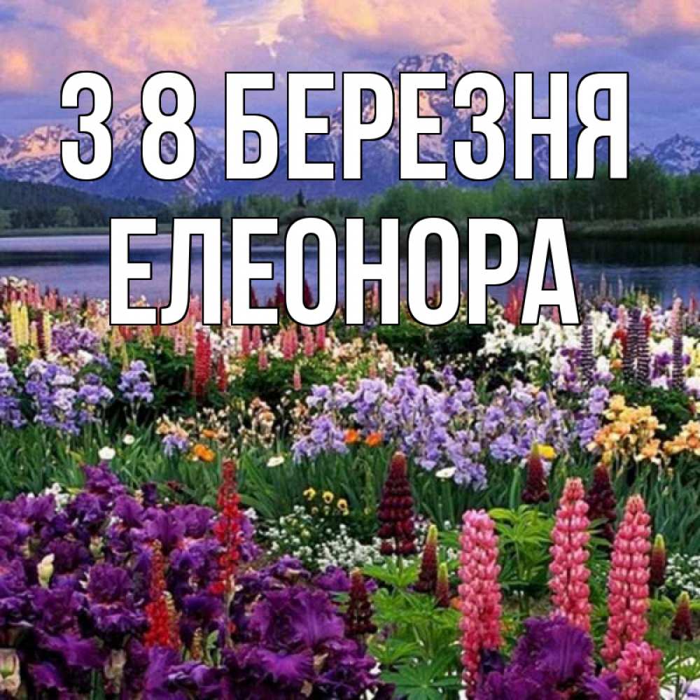 Открытка на каждый день з підписом, Елеонора З 8 БЕРЕЗНЯ международный женский день Прикольна листівка з побажанням онлайн скачати безкоштовно 