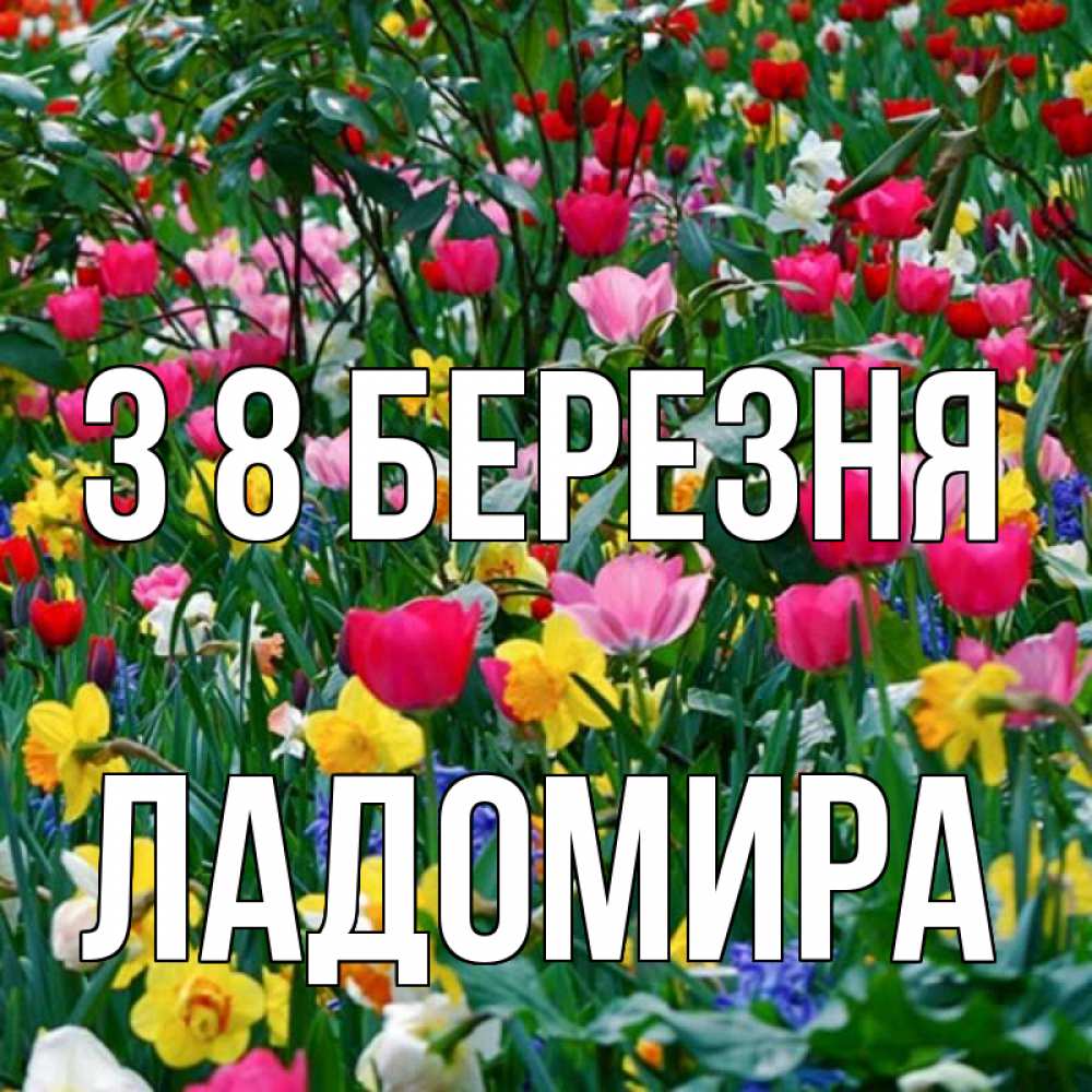Открытка на каждый день з підписом, Ладомира З 8 БЕРЕЗНЯ с международным женским днем поздравления для женщины Прикольна листівка з побажанням онлайн скачати безкоштовно 