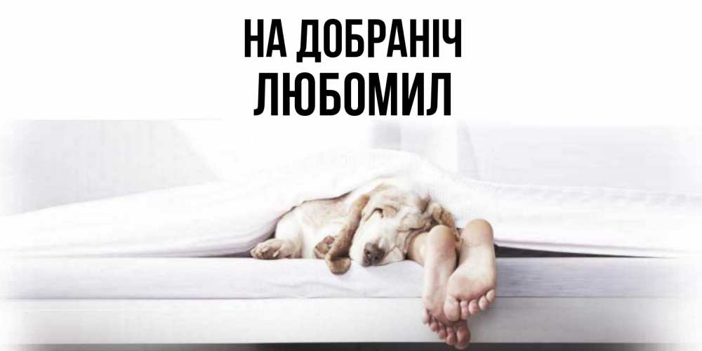 Открытка на каждый день з підписом, Любомил На добраніч кровать с собакой пожелание сладких снов и спокойной ночи Прикольна листівка з побажанням онлайн скачати безкоштовно 