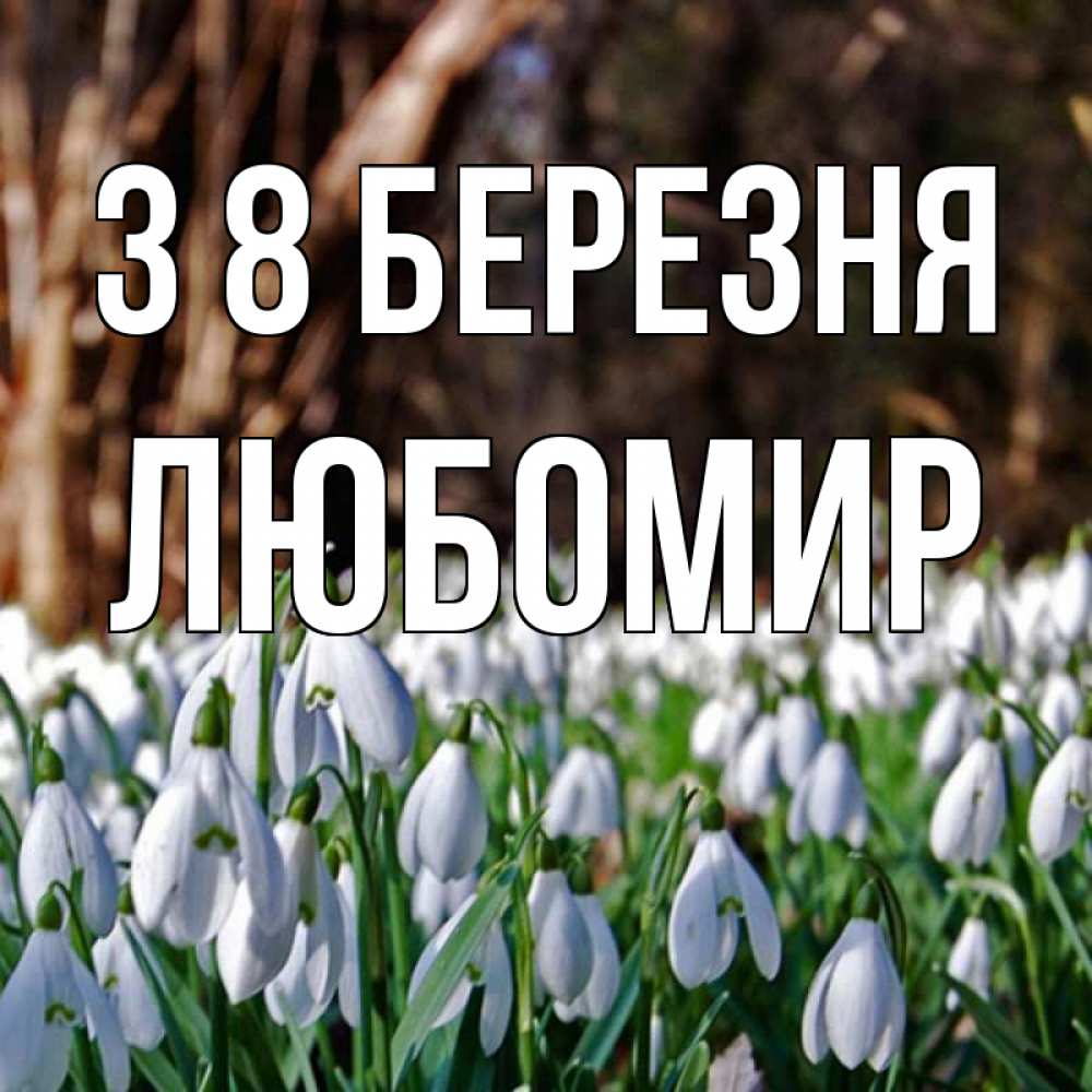 Открытка на каждый день з підписом, Любомир З 8 БЕРЕЗНЯ с подснежниками 1 Прикольна листівка з побажанням онлайн скачати безкоштовно 