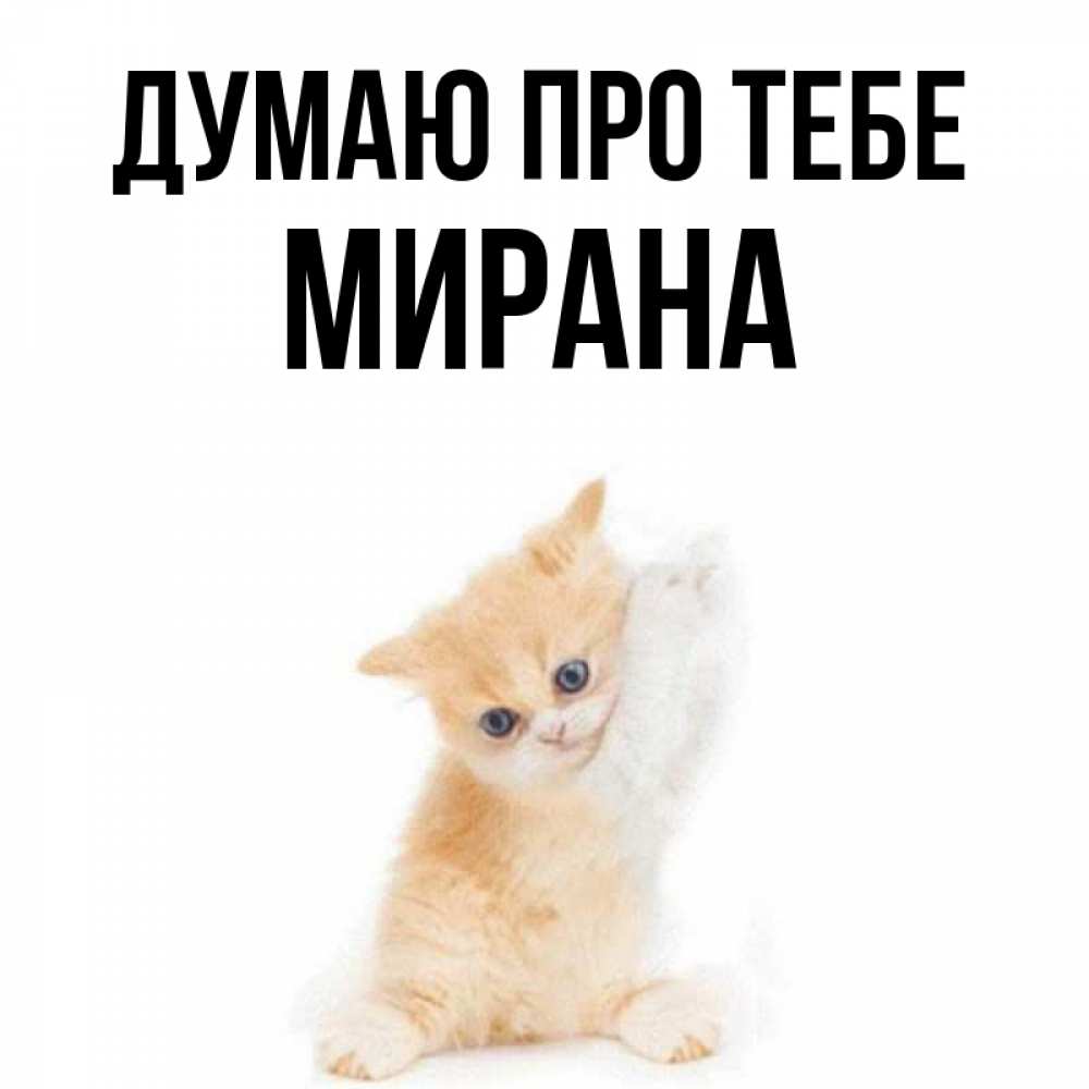 Открытка на каждый день з підписом, Мирана Думаю про тебе зверушки и милота Прикольна листівка з побажанням онлайн скачати безкоштовно 