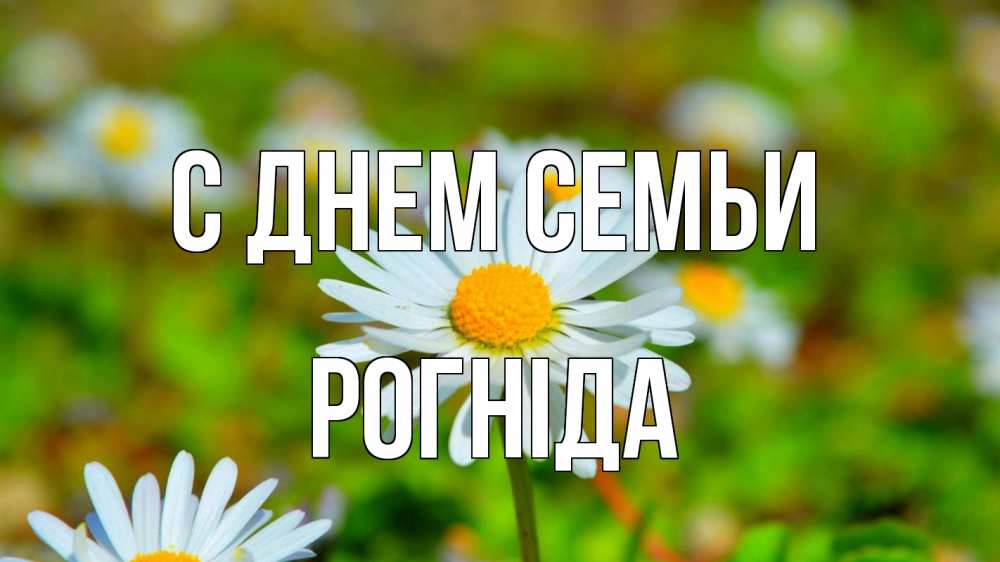 Открытка на каждый день з підписом, Рогніда С днем семьи с днем семьи Прикольна листівка з побажанням онлайн скачати безкоштовно 