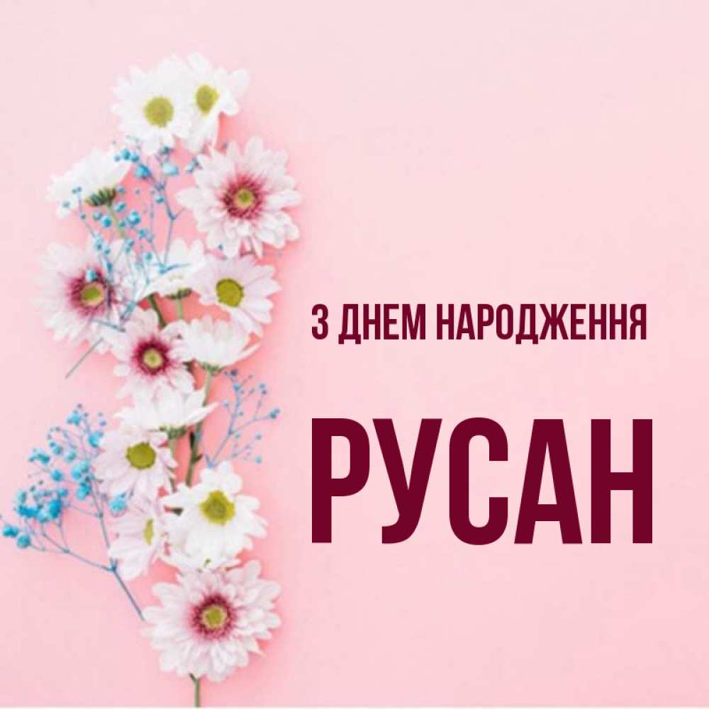 Открытка на каждый день з підписом, Русан З Днем народження Родная моя с днем рождения тебя картинка с цветами белыми и голубыми Прикольна листівка з побажанням онлайн скачати безкоштовно 