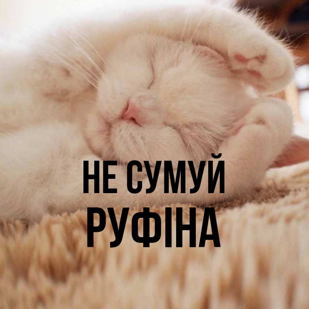 Открытка на каждый день з підписом, Руфіна Не сумуй Котенок спит Прикольна листівка з побажанням онлайн скачати безкоштовно 