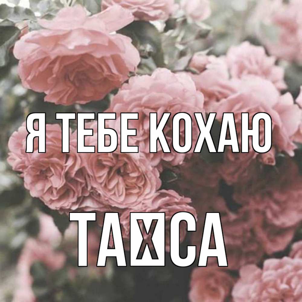 Открытка на каждый день з підписом, Таїса Я тебе кохаю розы 3 Прикольна листівка з побажанням онлайн скачати безкоштовно 